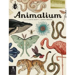 Kids West Elm Animalium