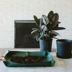West Elm Arber Repotting Mat