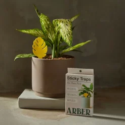 West Elm Arber Sticky Traps