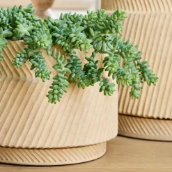 West Elm Asher Ceramic Planters