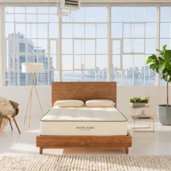 West Elm Avocado Green Mattress