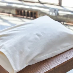 Kids West Elm Avocado Waterproof Toddler Pillow Cover