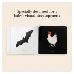 Kids West Elm Baby's Tummy Time Book Box Set