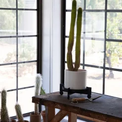 West Elm Bal Multipurpose Plant Stand