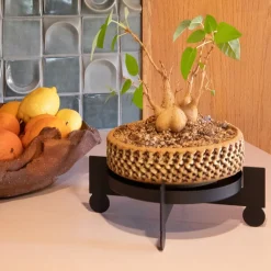 West Elm Bal Multipurpose Plant Stand