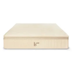 West Elm Birch Luxe Natural Mattress