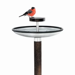 West Elm Bird Feeder & Bath