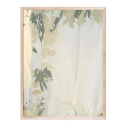 West Elm Botanical Shadows Wall Art by Fountain Grass Studios