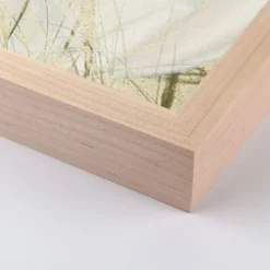 West Elm Botanical Shadows Wall Art by Fountain Grass Studios