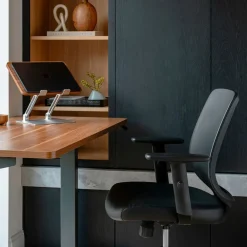 West Elm Branch Daily Desk Chair