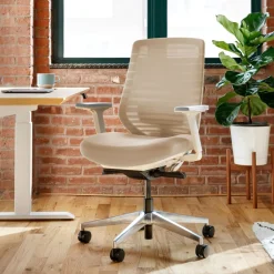 West Elm Branch Ergonomic Chair