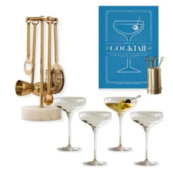 West Elm Build Your Own Martini Set