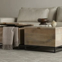West Elm Carved Mango Wood Storage Coffee Table (24")