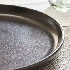 West Elm Casafina Pacifica Stoneware Dinner Plates