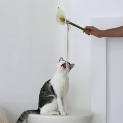 West Elm Catenary Flora Cat Teaser Wand Toy