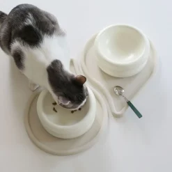 West Elm Catenary Halo Pet Bowls