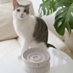 West Elm Catenary Halo Tempo Pet Bowl