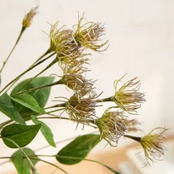 West Elm Clematis Pods Bundle