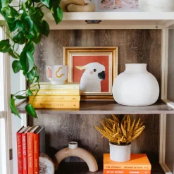West Elm Cloth ColorPak Books