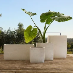 West Elm Curved Ficonstone Indoor/Outdoor Planter Collection