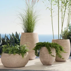 West Elm Curved Ficonstone Indoor/Outdoor Planters