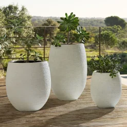 West Elm Curved Ficonstone Indoor/Outdoor Planters
