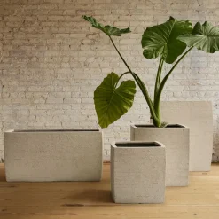 West Elm Curved Square Ficonstone Indoor/Outdoor Planters