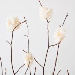 West Elm Dried Beech Branch & Hydrangea Stems