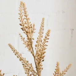 West Elm Dried Bud Bundle