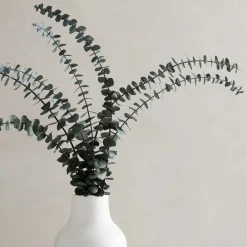West Elm Dried Eucalyptus Bundle - Green