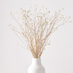 West Elm Dried Flax Bunch