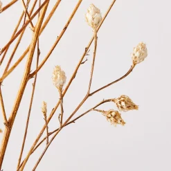 West Elm Dried Flax Bunch