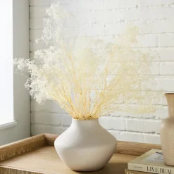 West Elm Dried Gypso Bunch