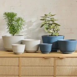 West Elm Elora Ceramic Planters