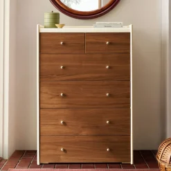 West Elm Emma Chamberlain Lacquer Wrapped 6-Drawer Dresser (30")
