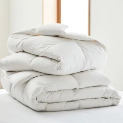 West Elm European Down Duvet Insert
