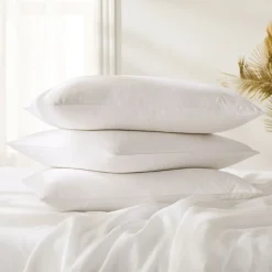 West Elm European Down Pillow Insert