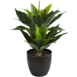 West Elm Faux Agave Plant