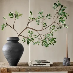 West Elm Faux Black Olive Branch