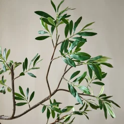 West Elm Faux Black Olive Branch