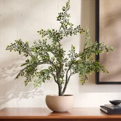 West Elm Faux Bonsai Tree