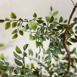 West Elm Faux Bonsai Tree