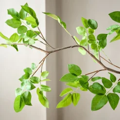 West Elm Faux Common Manzanita Bean Leaf Branch