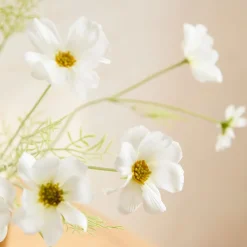 West Elm Faux Cosmos Stem