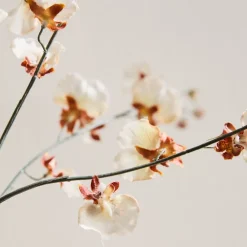West Elm Faux Dancing Orchid Stem
