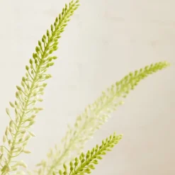 West Elm Faux Eremurus Stem Bundle