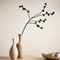 West Elm Faux Eucalyptus Pod Branch