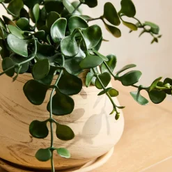 West Elm Faux Eucalyptus Potted Plant
