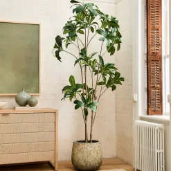 West Elm Faux Frangipani Tree