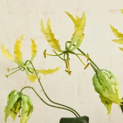 West Elm Faux Gloriosa Lily Bundle